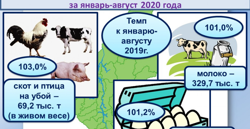 Сельское хозяйство иркутской области презентация