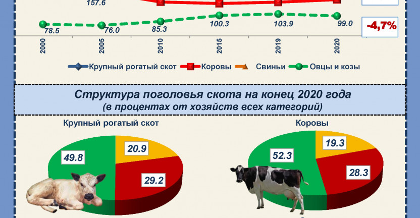 Поголовье скота в Иркутской области