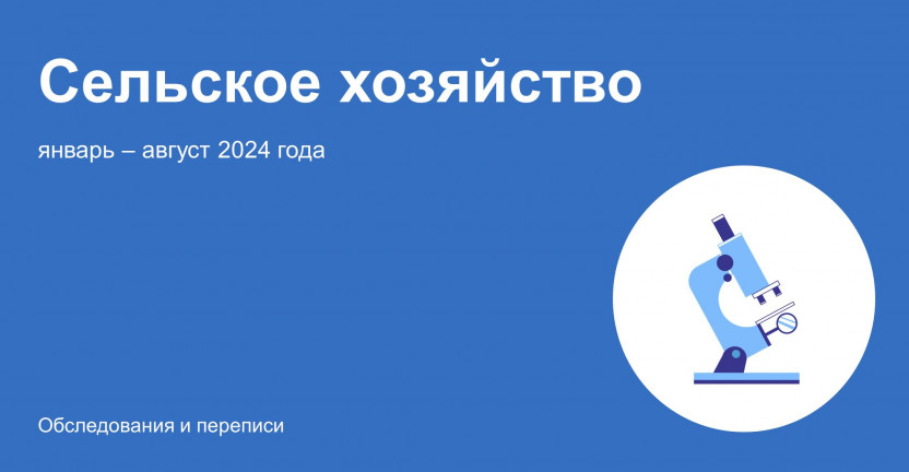 О состоянии животноводства в январе – августе 2024 года