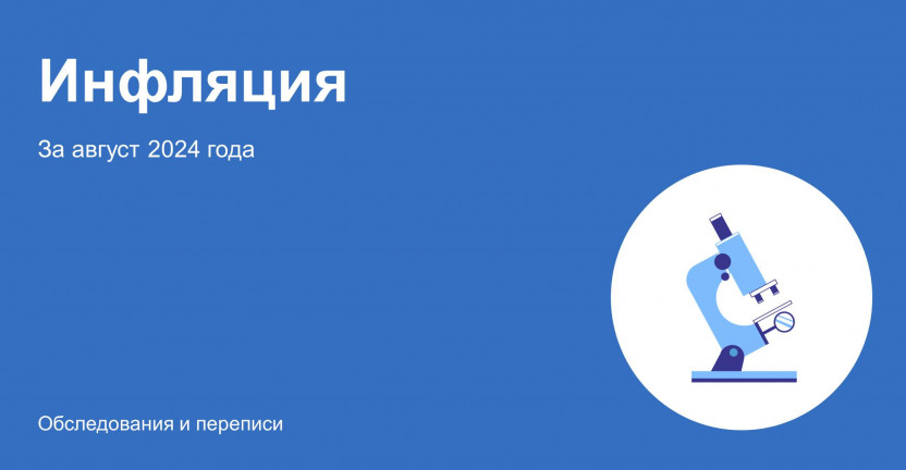 Об инфляции в августе 2024 года